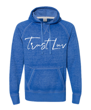 Load image into Gallery viewer, Vintage TL Hoodie
